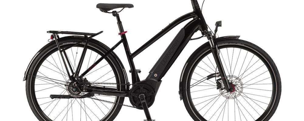E-Bike von Winora Tageskarte (Tiefeinsteiger und Herrenrad)