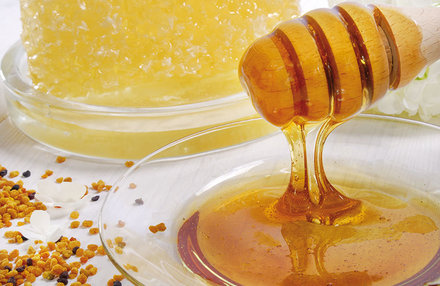 Honigmassage (ca. 45 Min.)