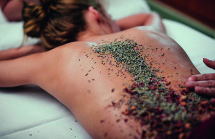 Wellness  