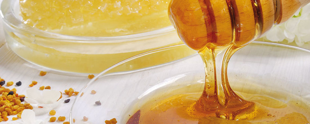 Honigmassage (ca. 45 Min.)